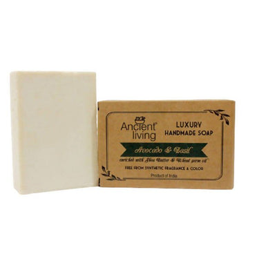 https://cdn.shopify.com/s/files/1/1857/6931/files/8otKZi2IoH-191069.jpg?v=1736147407